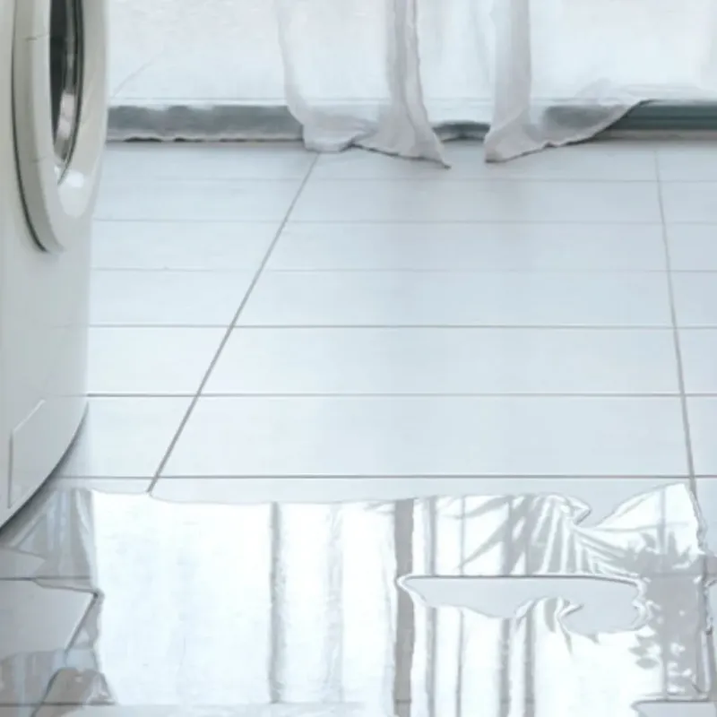 Appliance Leak Cleanup in Keshena, WI