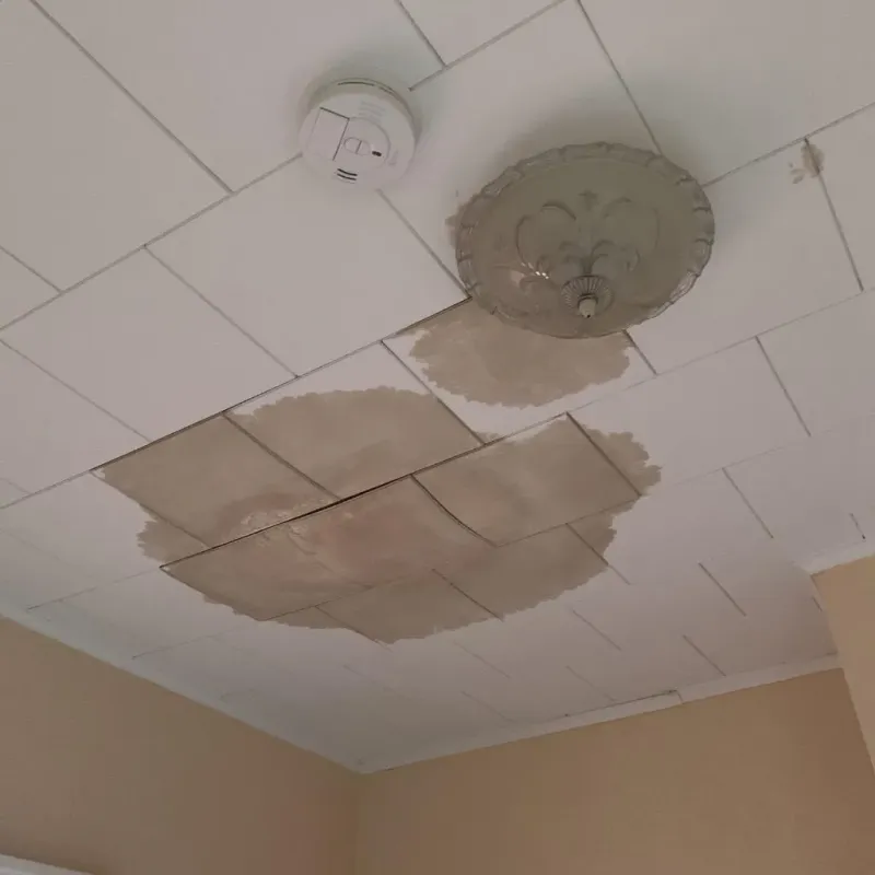 Ceiling Water Damage Repair in Keshena, WI
