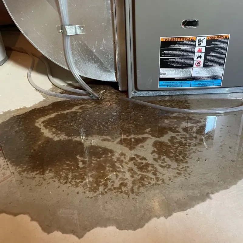 Pipe Burst and Leak Restoration in Keshena, WI