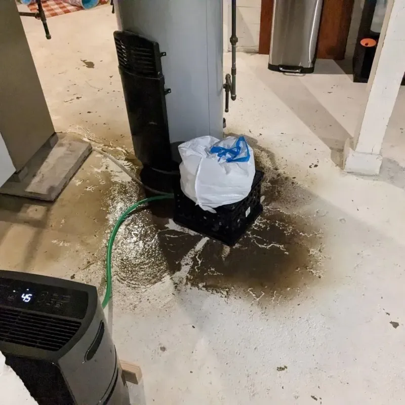 Sewage Backup Cleanup Service in Keshena, WI